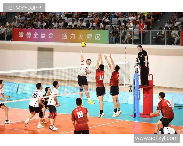 杭州排球队与上海排球队赛后复盘团队协作的成功与不足分析